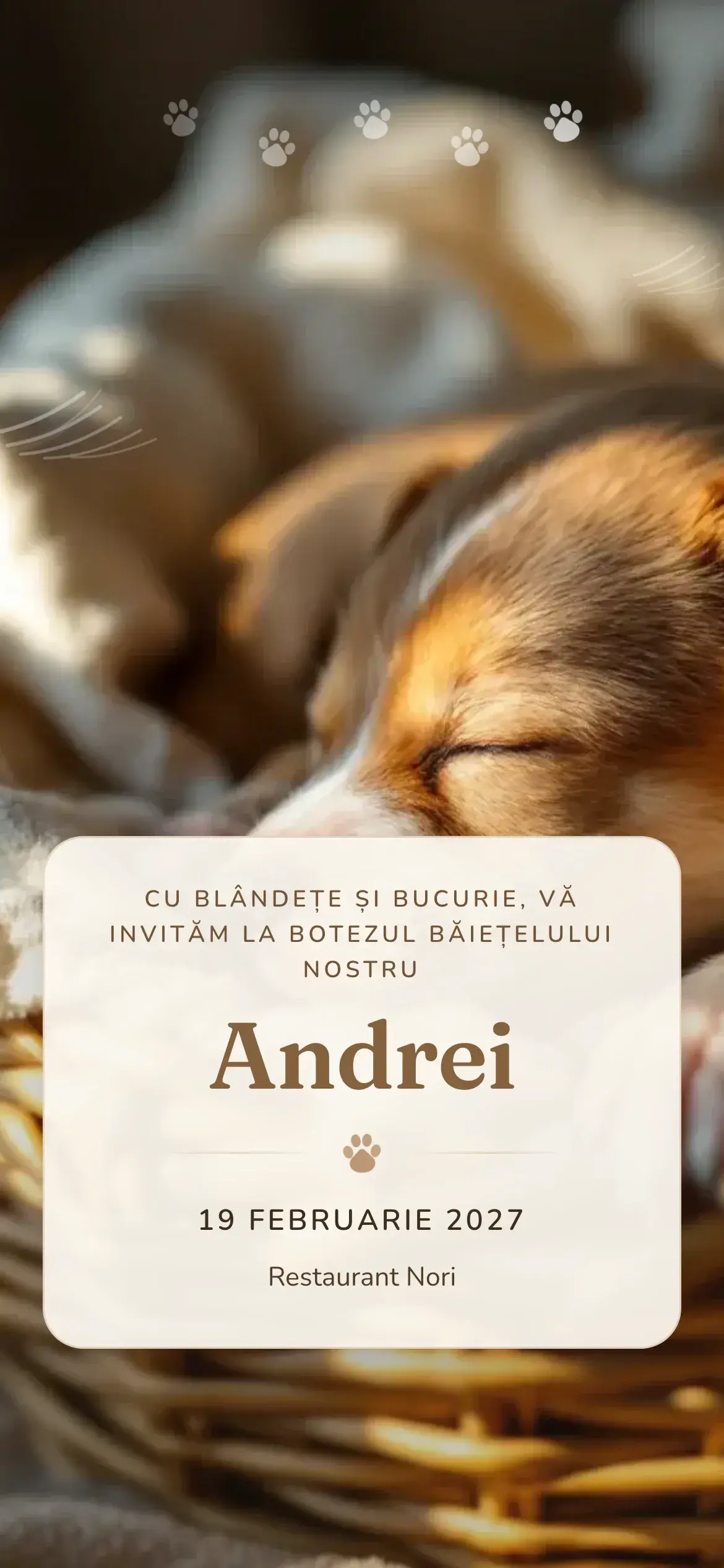 Invitație digitală de botez cu un cățeluș adormit într-un coșuleț de răchită, în tonuri calde de caramel și crem