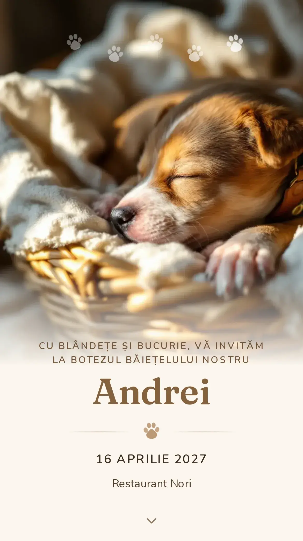 Invitație digitală de botez cu un cățeluș adormit într-un coșuleț de răchită, în tonuri calde de caramel și crem