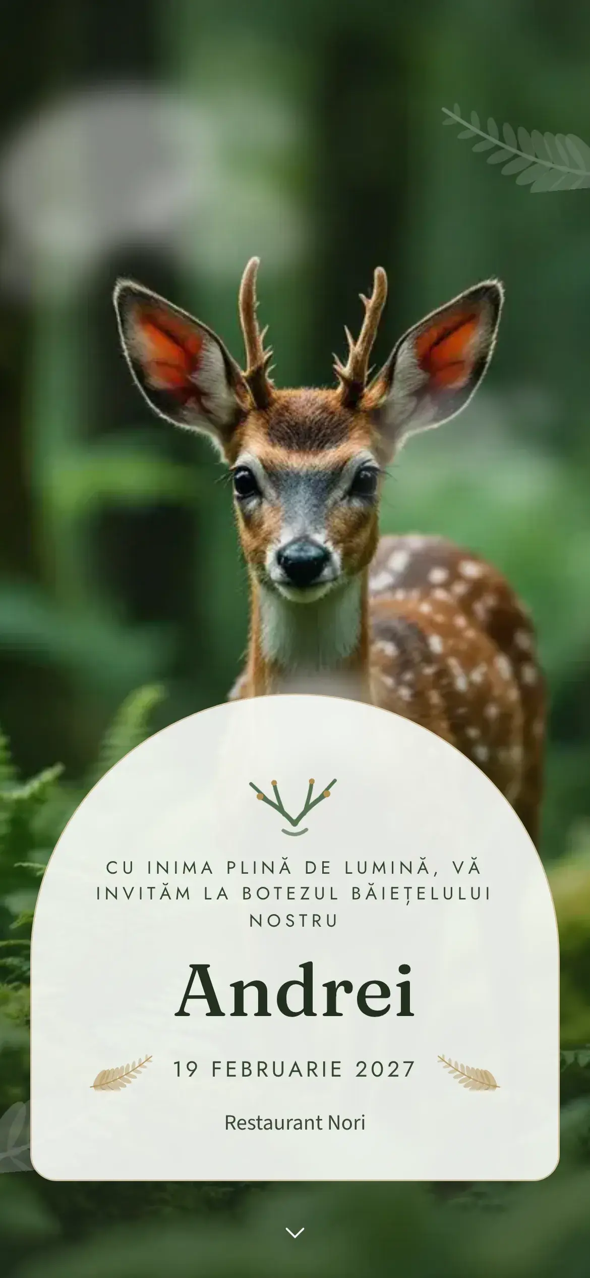 Invitație digitală de botez pentru băiețel, cu un cerbuleț cu coarne abia mijite în lumina filtrată a pădurii, în tonuri de verde mușchi