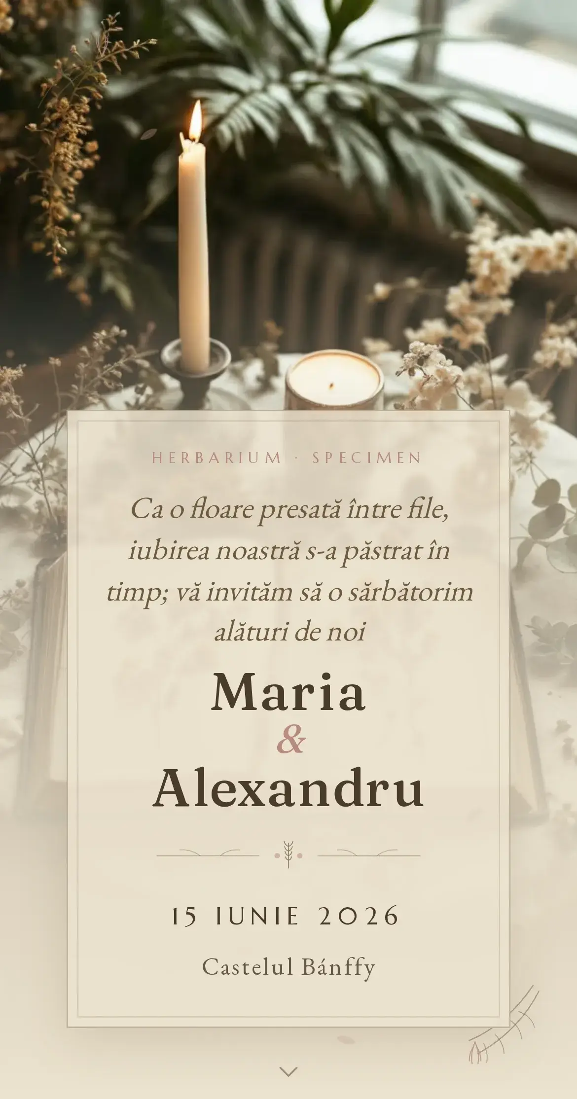 Invitație digitală de nuntă în stil herbar cu flori presate și botanică vintage