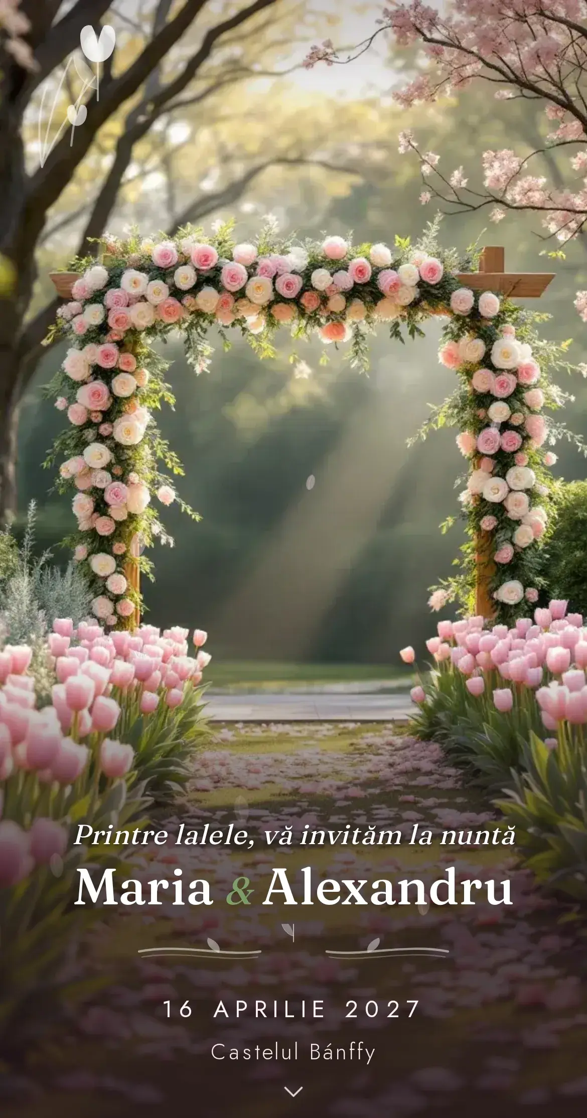 Invitație digitală de nuntă cu lalele roz proaspete și o arcadă florală într-o grădină de primăvară