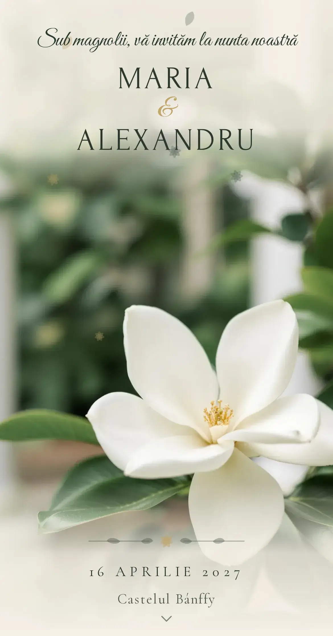 Invitație digitală de nuntă cu o magnolie albă în floare și frunze verzi lucioase pe fundal de conac