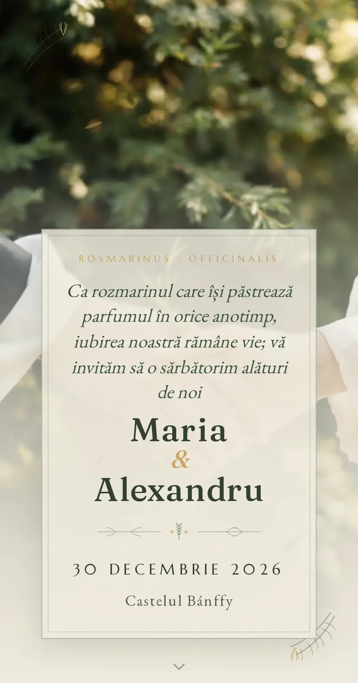 Invitație digitală de nuntă cu mâini care țin o ramură de rozmarin pe fundal de verdeață de pădure, in natural și lumină caldă mediteraneană