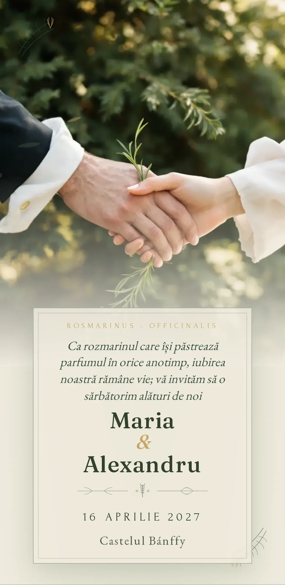 Invitație digitală de nuntă cu mâini care țin o ramură de rozmarin pe fundal de verdeață de pădure, in natural și lumină caldă mediteraneană