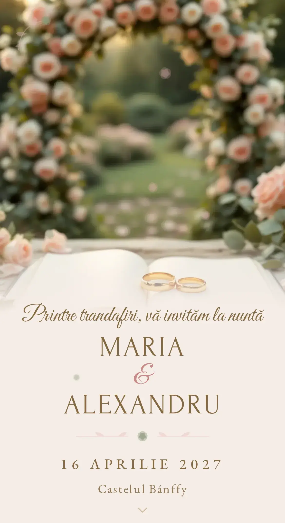Invitație digitală de nuntă cu trandafiri de grădină roz pudrat pe o arcadă romantică, cu verighete de aur și petale căzute
