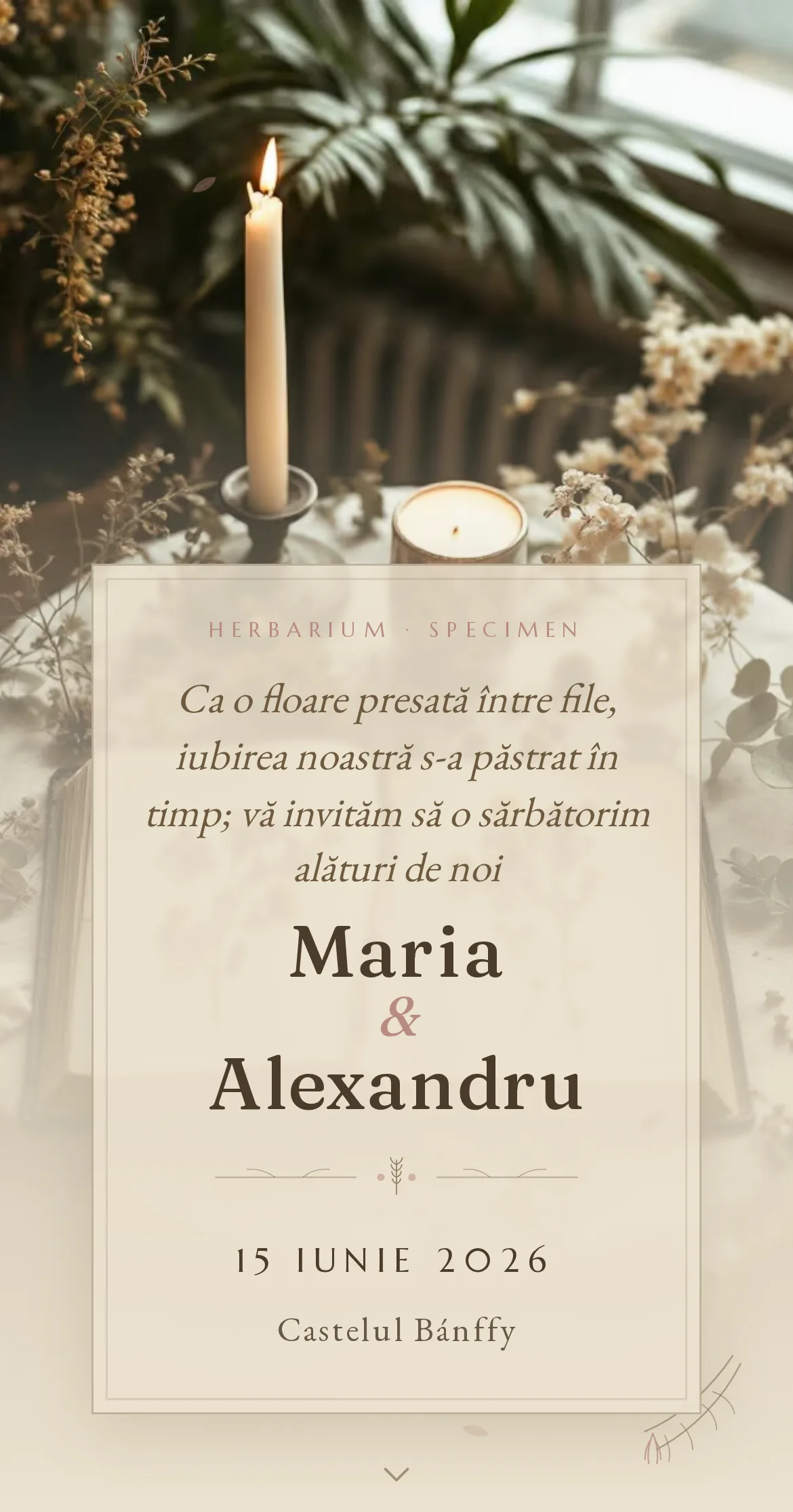 Invitație digitală de nuntă în stil herbar cu flori presate și botanică vintage